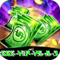 dsss VIP v5.5.3