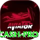 xxgg Cash Pro